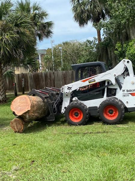 Action Tree Care