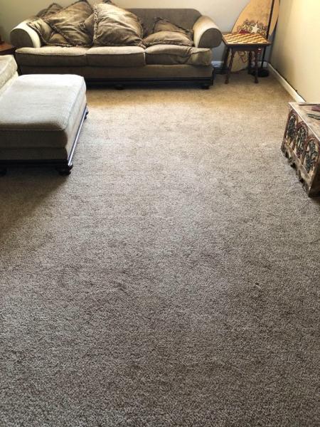 Carpet Cleaner Dash