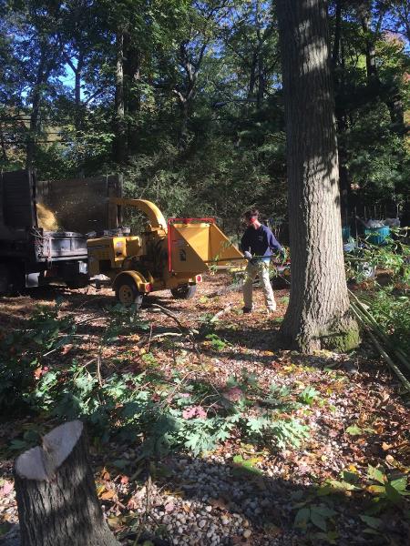 Mike Deckelmann's Landscaping