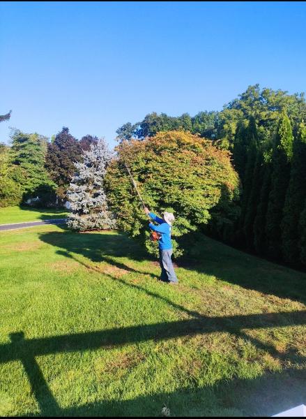 Mike Deckelmann's Landscaping