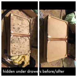 Alabama Mold and Water