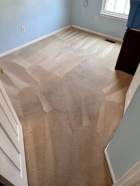 T.i.p Carpet & Upholstery Cleaning