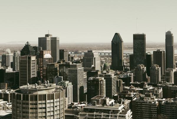 IDS Real Estate Group
