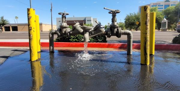 F6 Backflow Services
