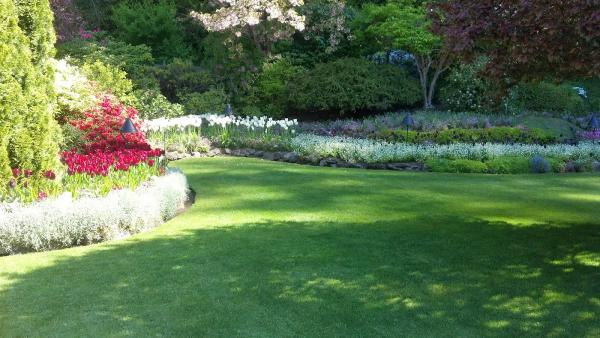 Choice Landscapes