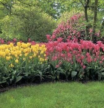 Choice Landscapes