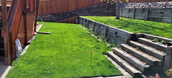 Fit Turf