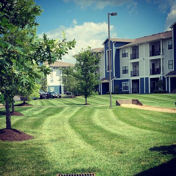 Green Impressions Landscaping