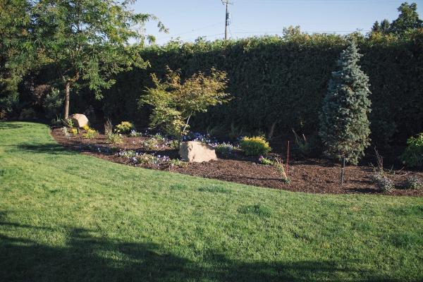 Greenscape Landscaping