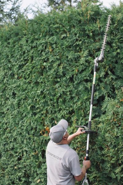 Greenscape Landscaping