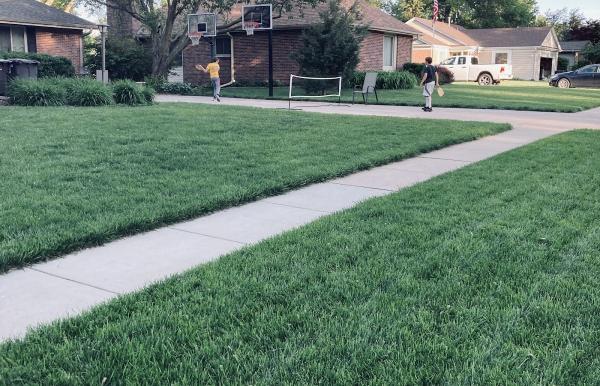 Newton's Lawn Care