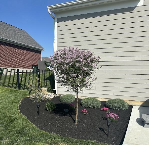 Arenas Landscaping & Construction LLC