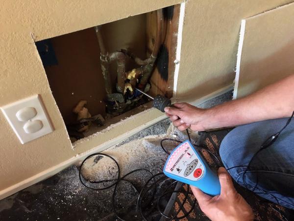 Dry County Restoration