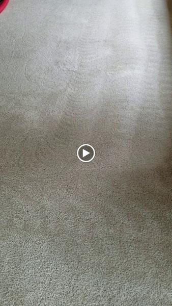 Capital Carpet Cleaning