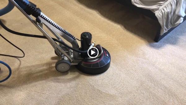 Arizona Carpet Cleaning