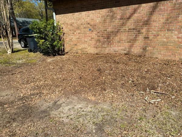Stump Pros Stump Grinding