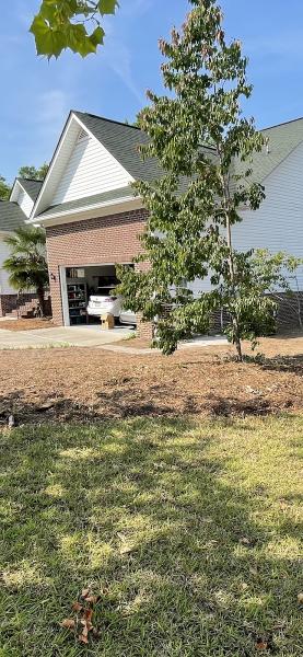 Stump Pros Stump Grinding