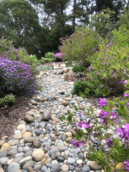 Rootstic Art Landscape Corp.