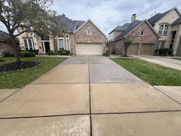 Protex Exterior Cleaning