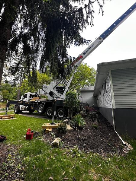 J&L Budget Tree Service