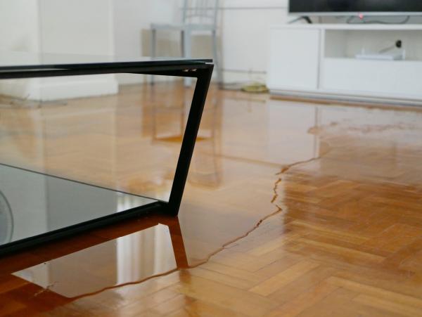 Los Angeles Plumbing Pros