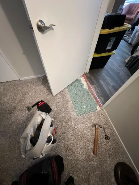 LAS Vegas Carpet Killers
