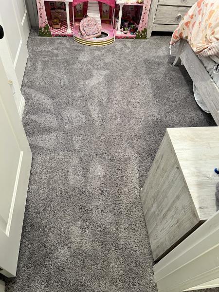LAS Vegas Carpet Killers