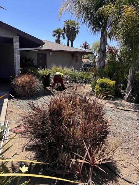 Marval Landscaping Service