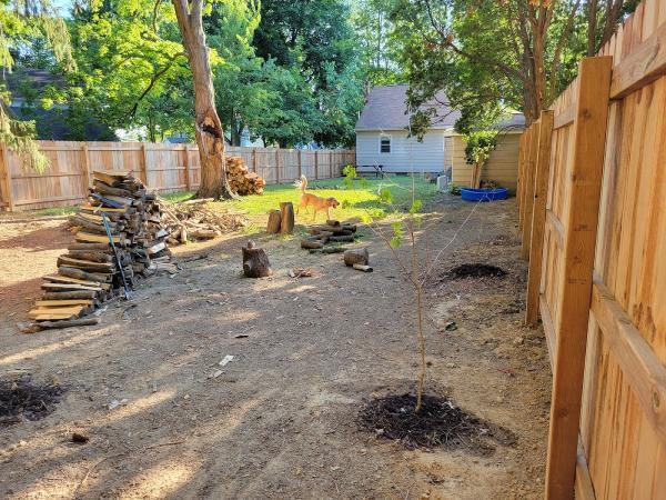 Austin Deck & Fence