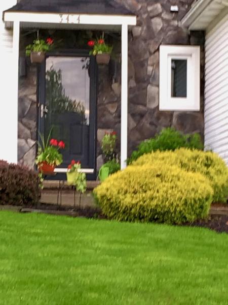 DC Lawncare & Landscape Services