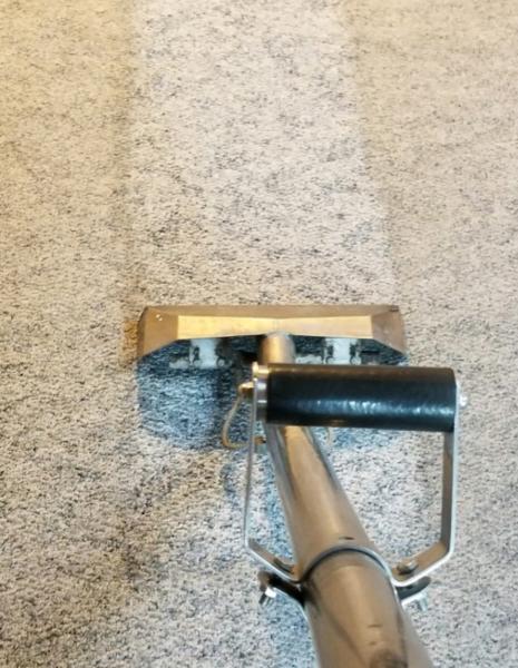 A Able Carpet & Upholstery Cleaning