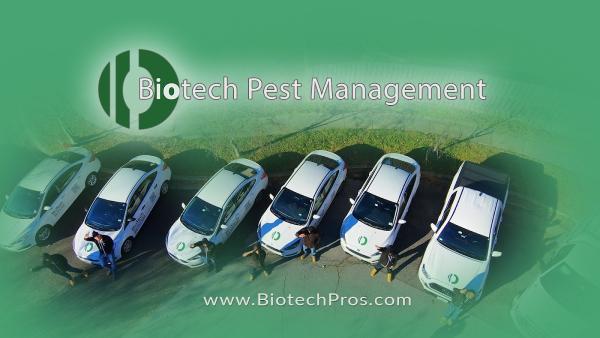 Biotech Pest Management