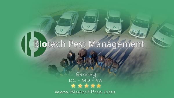 Biotech Pest Management