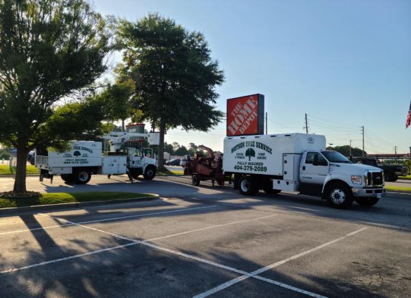Watson Tree Service