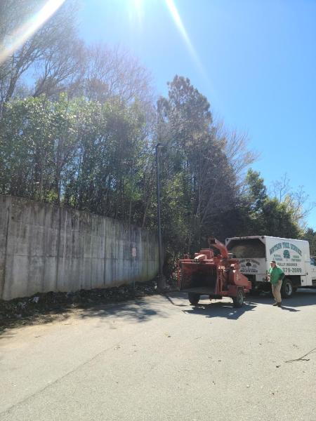 Watson Tree Service
