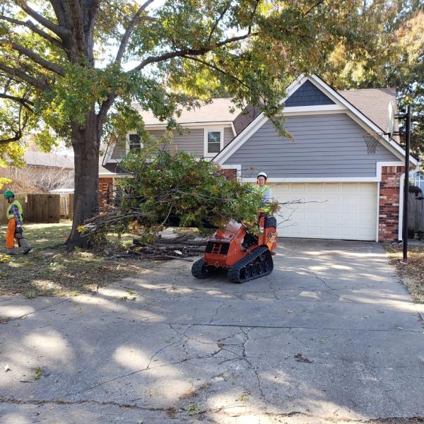A J Tree Service