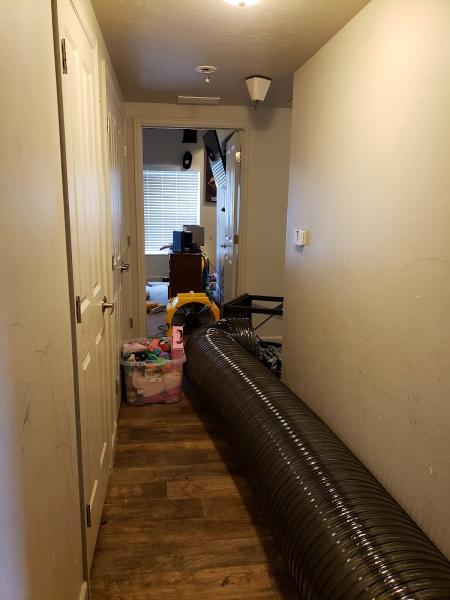 Versatile Pest Control