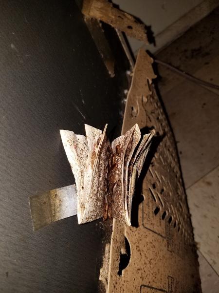 Versatile Pest Control