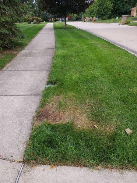 Geronimo Lawn Services Inc