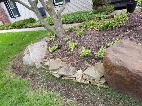 Geronimo Lawn Services Inc