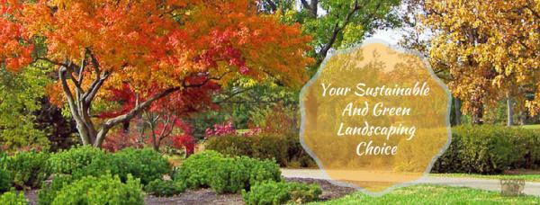 Clovis Outdoor Services