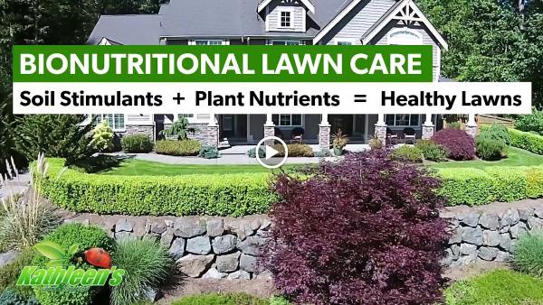 Kathleen's Lawn & Shrub Care