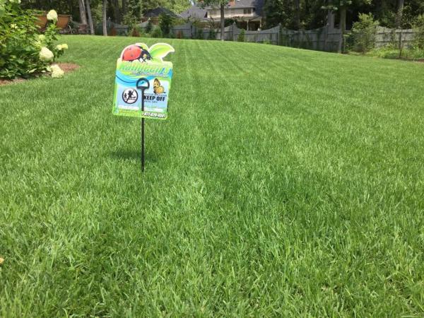 Kathleen's Lawn & Shrub Care