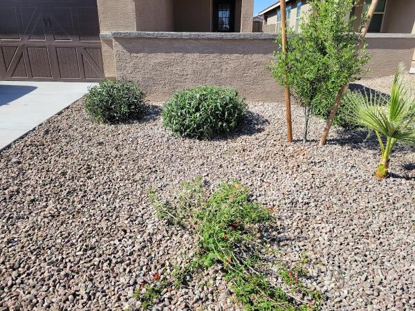 El Valle Landscaping Service LLC
