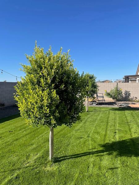 El Valle Landscaping Service LLC