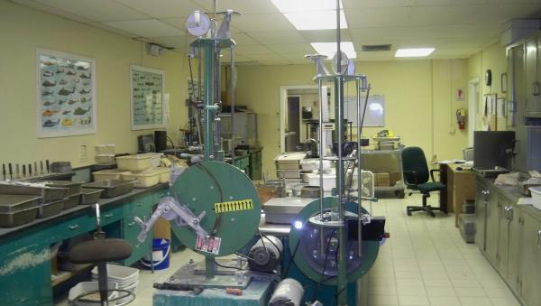 Wingerter Laboratories