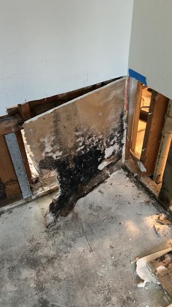 5 Star Building Inspections