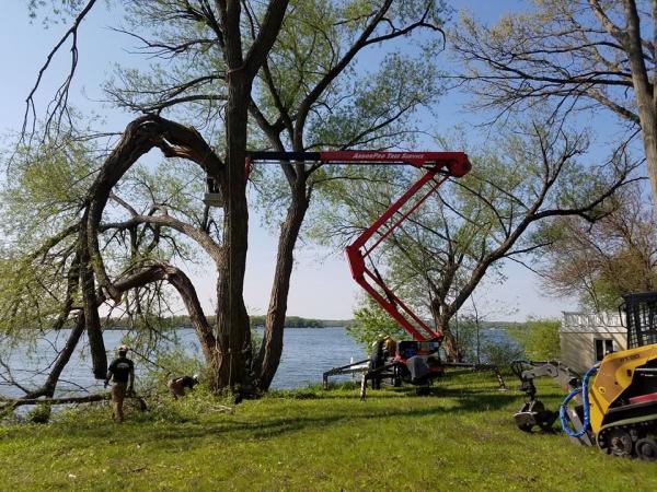 Arbor Pro