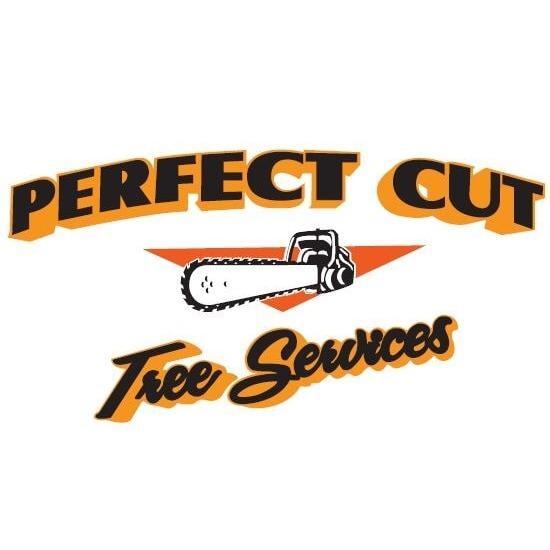 Perfect Cut Tree Service