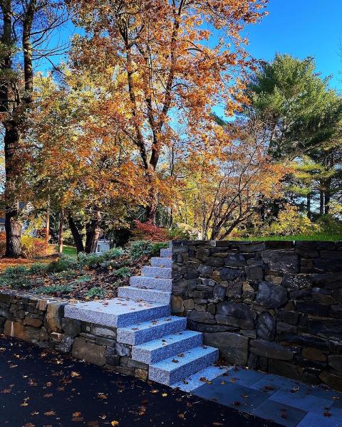 Hanlon Stone